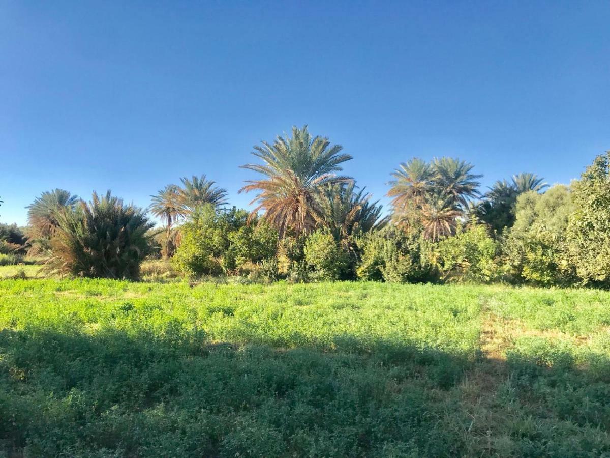 Hotel Ecologie Oasis Tafilalt Chez L' Habitant Errachidia Exteriér fotografie