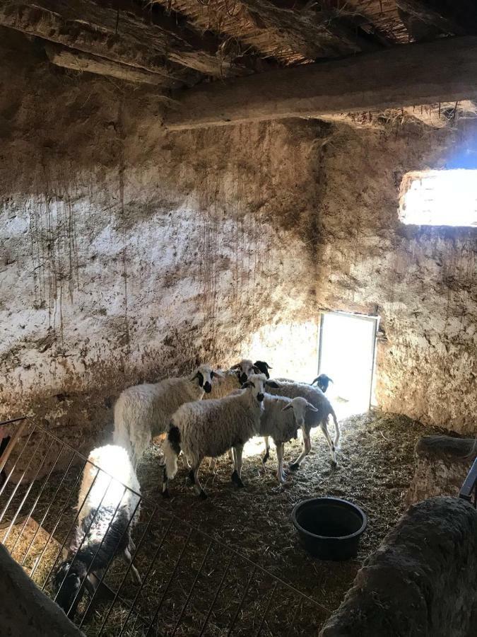 Hotel Ecologie Oasis Tafilalt Chez L' Habitant Errachidia Exteriér fotografie
